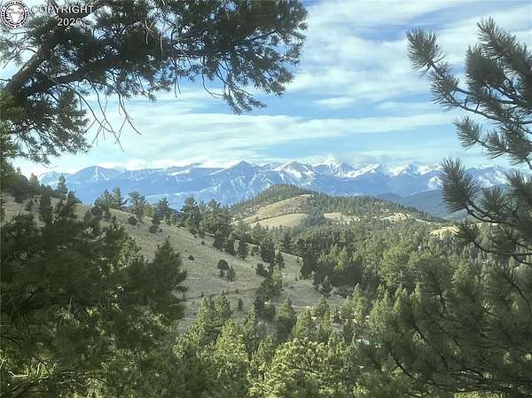 40 Acres of Recreational & Residential Land for Sale in Cotopaxi, Colorado