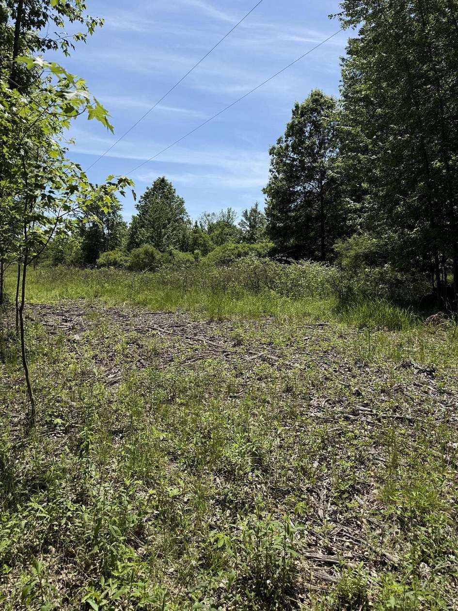 15 Acres of Recreational & Residential Land for Sale in Bangor, Michigan