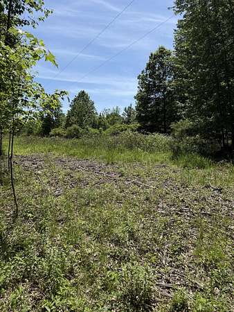 15 Acres of Recreational & Residential Land for Sale in Bangor, Michigan