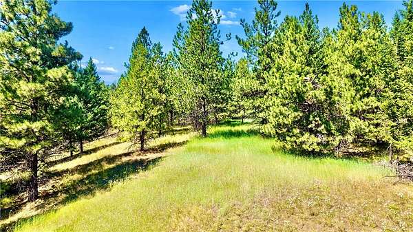 40 Acres of Land for Sale in Eureka, Montana