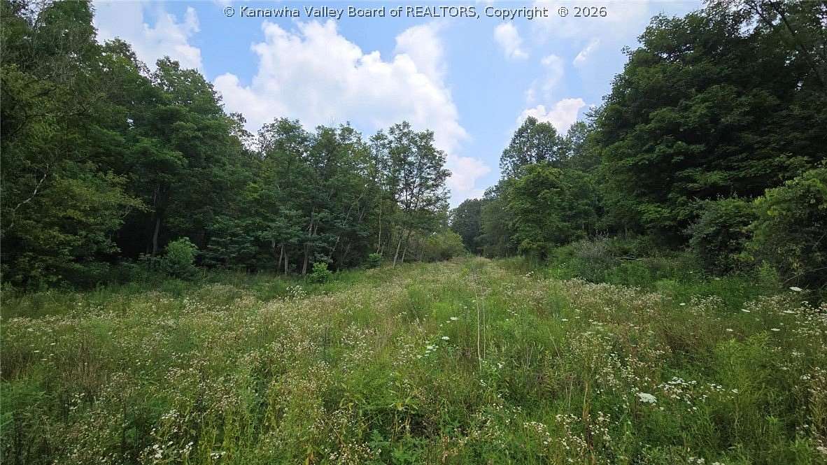 163 Acres of Recreational & Residential Land for Sale in Sandyville, West Virginia
