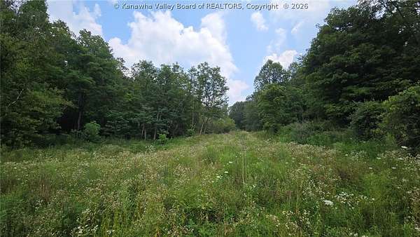 163 Acres of Recreational & Residential Land for Sale in Sandyville, West Virginia