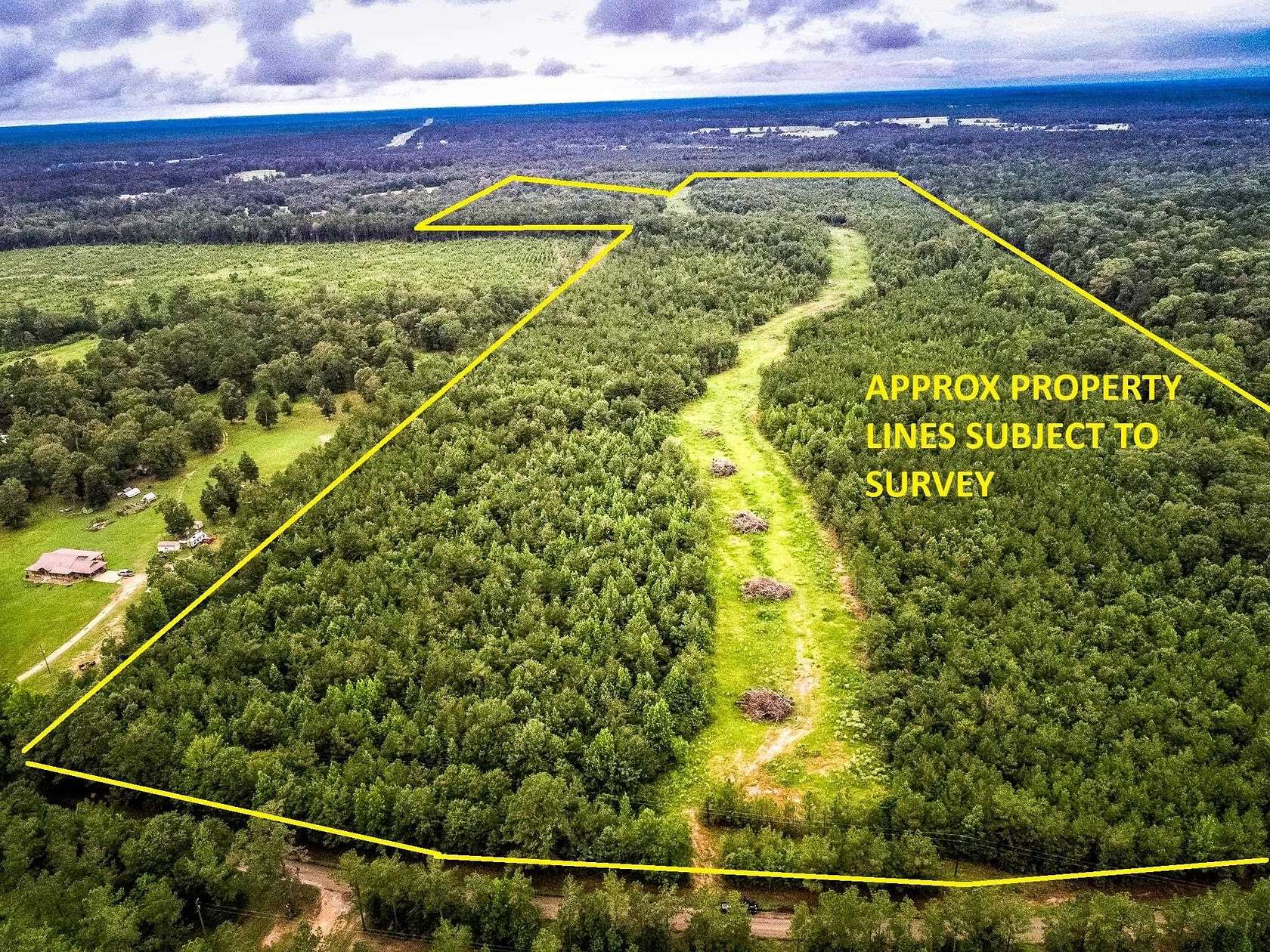 150 Acres of Recreational & Residential Land for Sale in Carthage, Texas