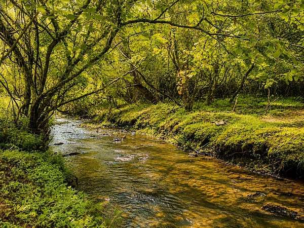 1 Acre of Land for Sale in Blairsville, Georgia