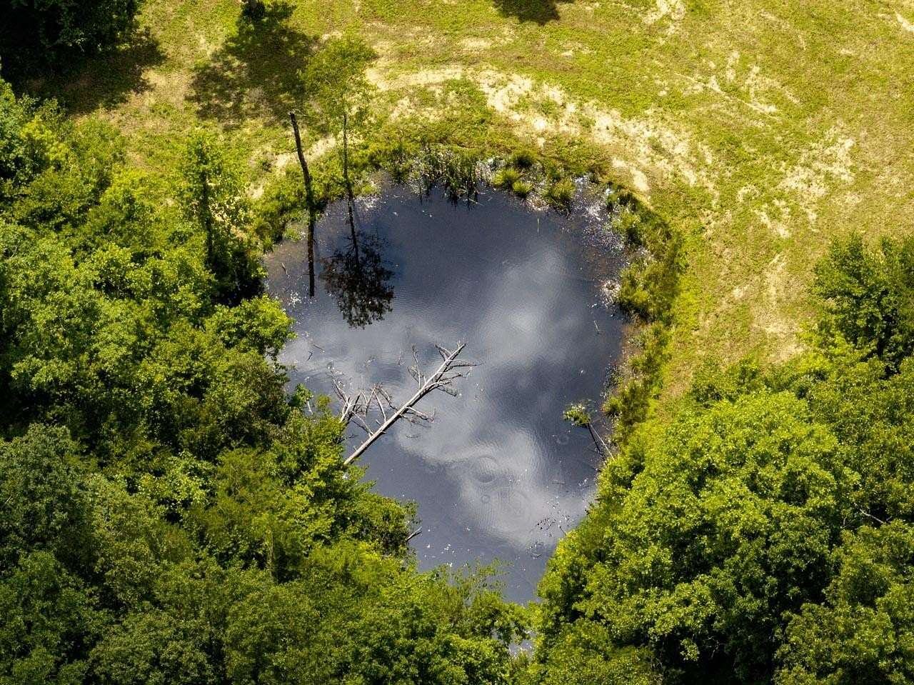 101 Acres of Land for Sale in Sandy Hook, Kentucky