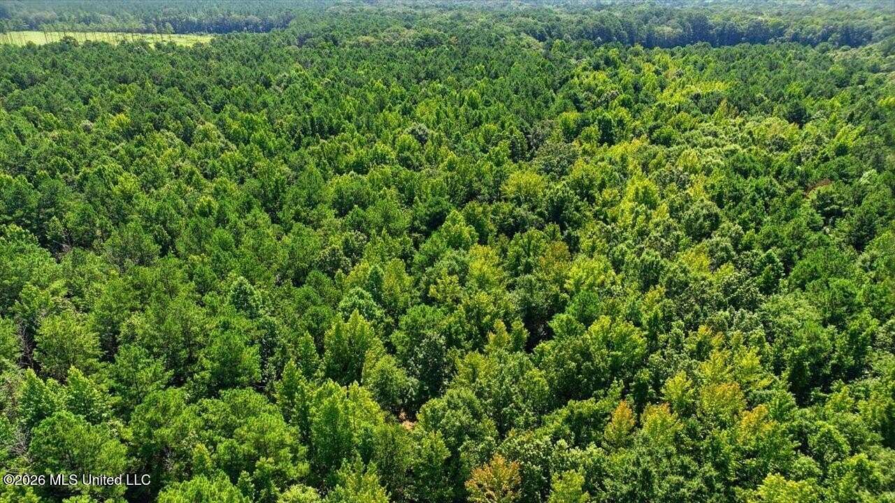 42.6 Acres of Recreational & Residential Land for Sale in Canton, Mississippi