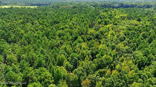 42.6 Acres of Recreational & Residential Land for Sale in Canton, Mississippi