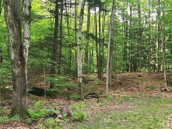 2.6 Acres of Residential Land for Sale in Cornish Town, New Hampshire