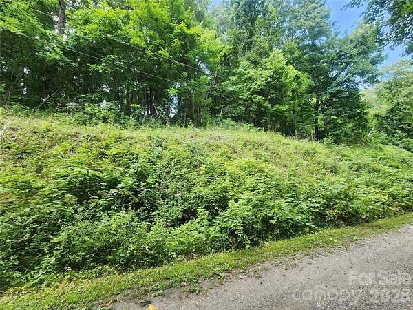 1 Acre of Land for Sale in Weaverville, North Carolina
