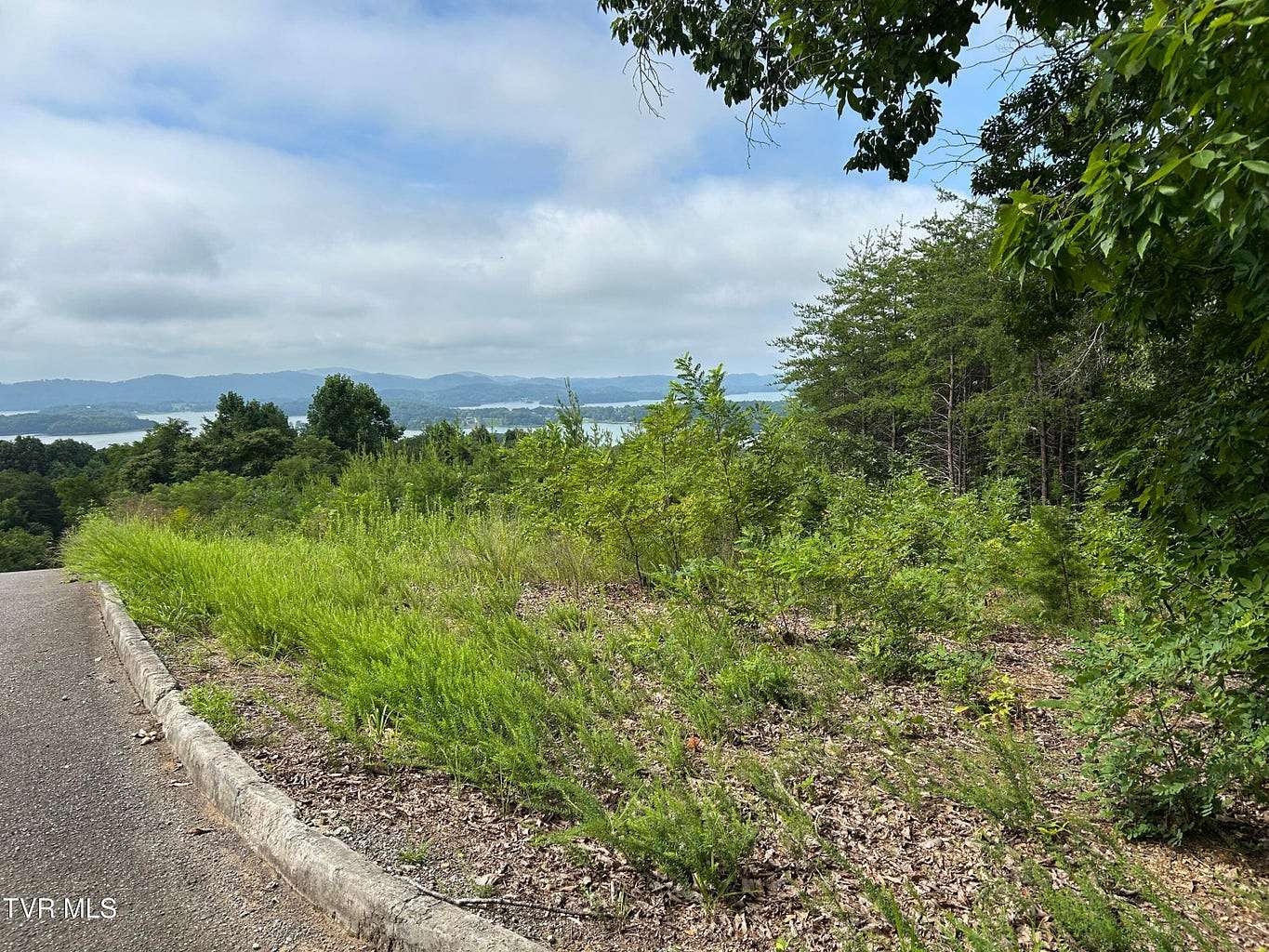 1.29 Acres of Residential Land for Sale in Bean Station, Tennessee
