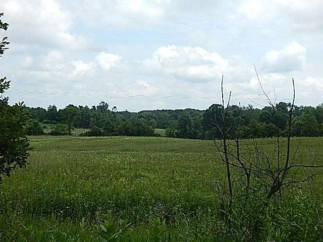 68.3 Acres of Agricultural Land for Sale in St. Johns, Michigan