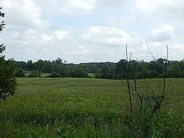 68.3 Acres of Agricultural Land for Sale in St. Johns, Michigan