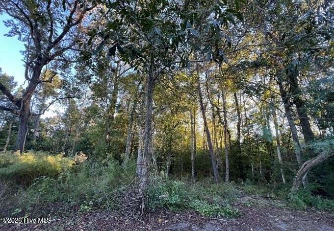 0.73 Acres of Residential Land for Sale in Wilmington, North Carolina