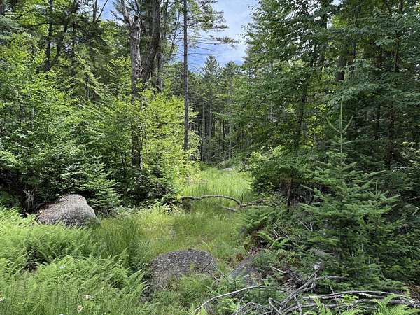 1.32 Acres of Land for Sale in Washington, New Hampshire