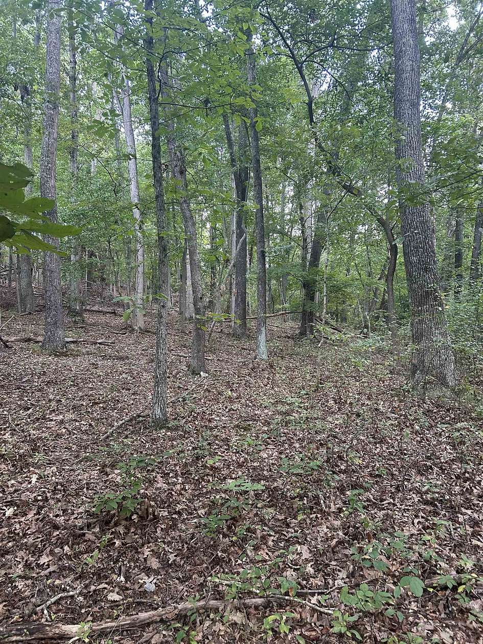 19 Acres of Land for Sale in Pembroke, Virginia