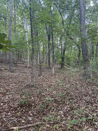 19 Acres of Land for Sale in Pembroke, Virginia