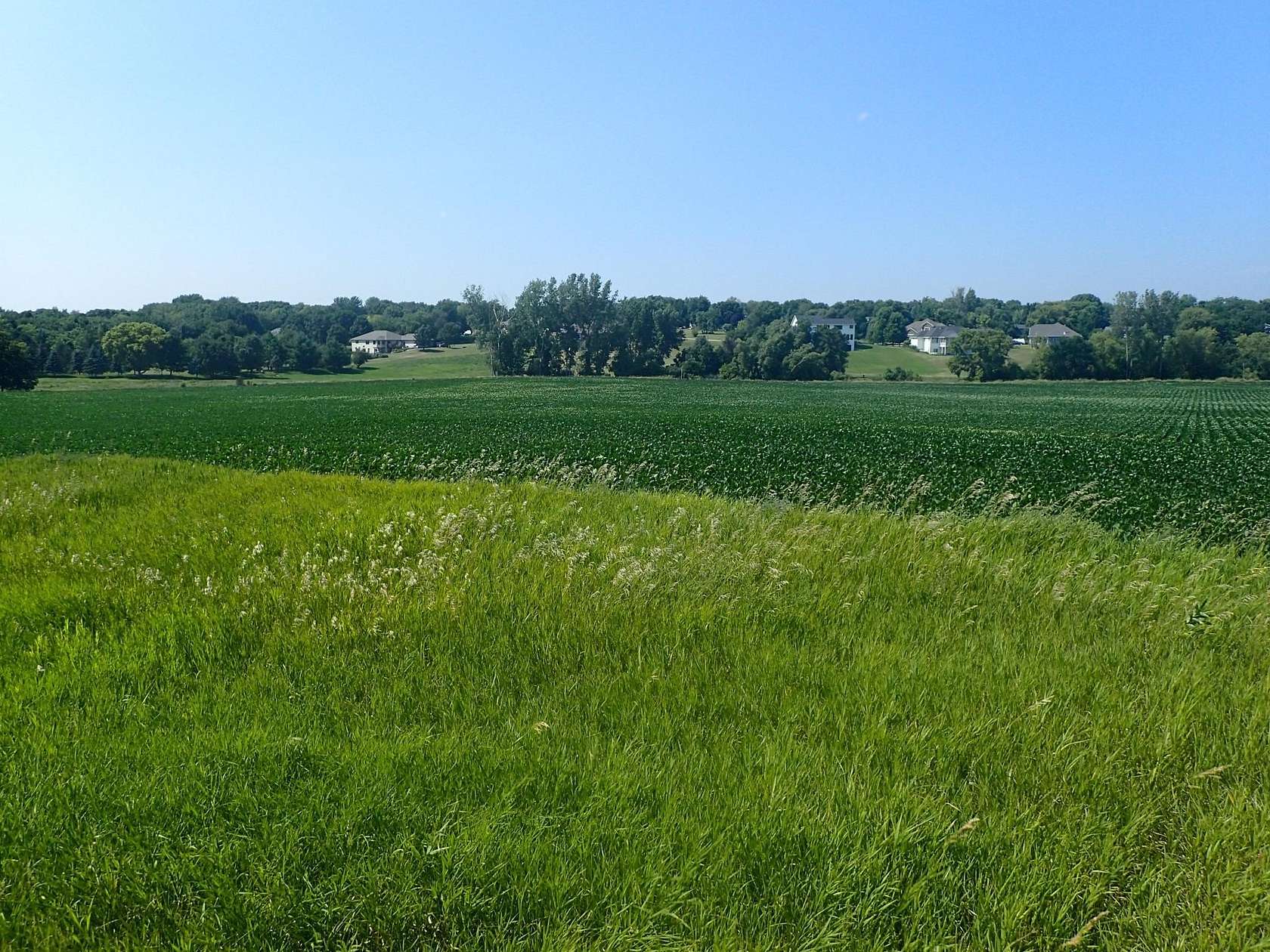 22.6 Acres of Agricultural & Residential Land for Sale in Cokato, Minnesota