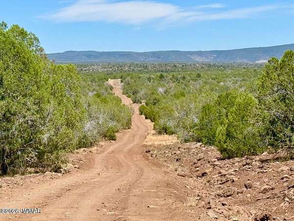46.8 Acres of Recreational & Residential Land for Sale in Ash Fork, Arizona