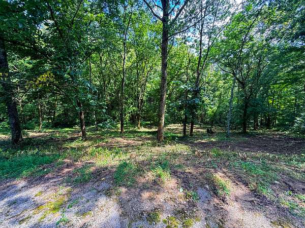 0.7 Acres of Residential Land for Sale in Smithville, Tennessee