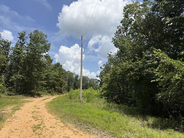 25 Acres of Recreational & Residential Land for Sale in Linden, Tennessee