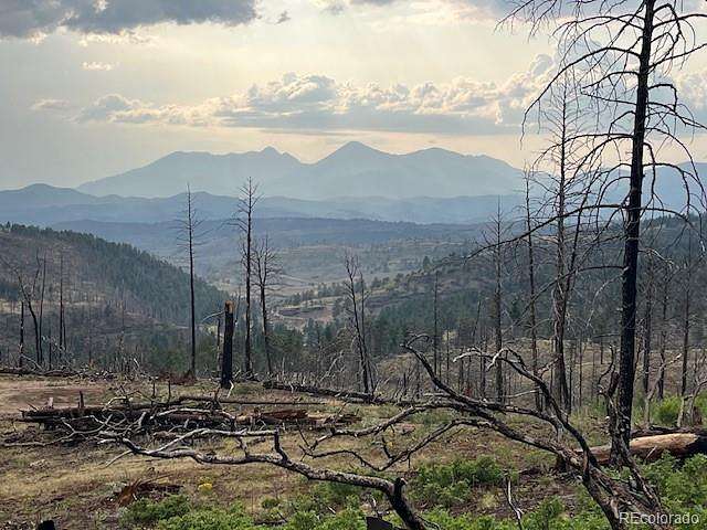 84.2 Acres of Recreational & Residential Land for Sale in Fort Garland, Colorado