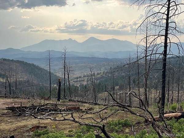 84.2 Acres of Recreational & Residential Land for Sale in Fort Garland, Colorado