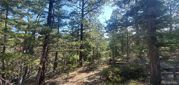 6.57 Acres of Residential Land for Sale in Fort Garland, Colorado