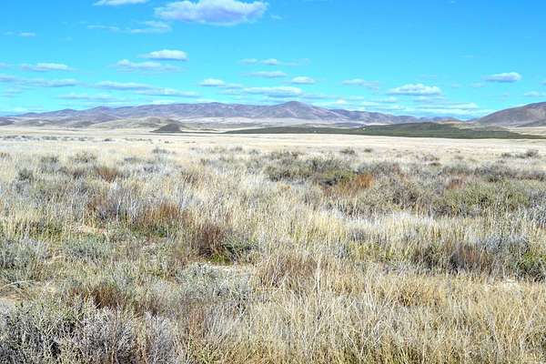 40 Acres of Recreational & Residential Land for Sale in Crescent Valley, Nevada