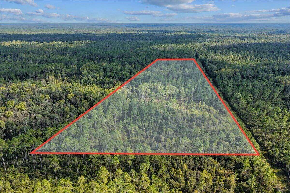 40.6 Acres of Land for Sale in Greenville, Florida