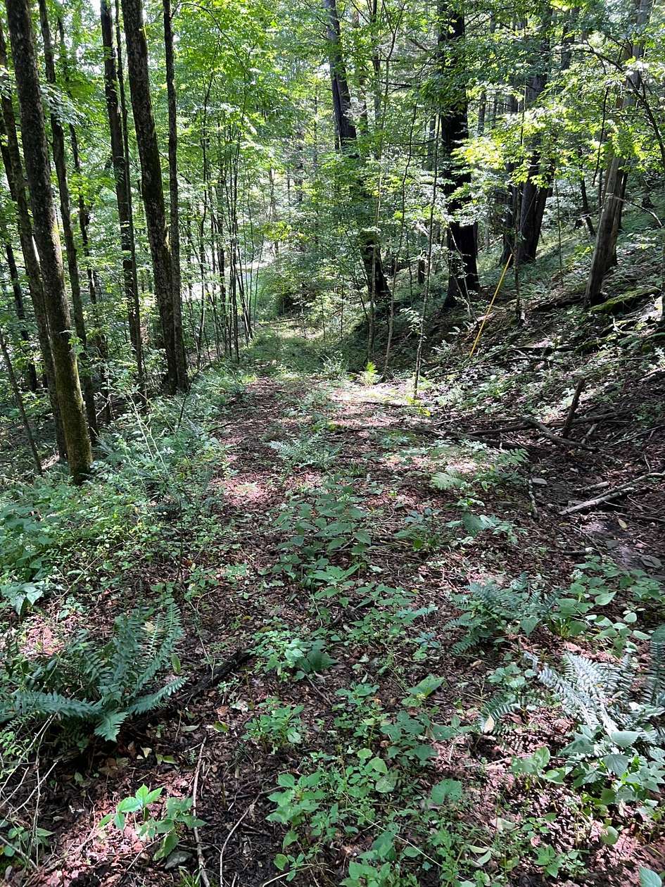 11.3 Acres of Recreational & Residential Land for Sale in Hancock, New York