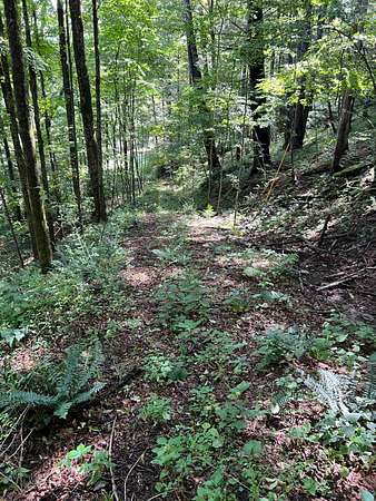 11.3 Acres of Recreational & Residential Land for Sale in Hancock, New York