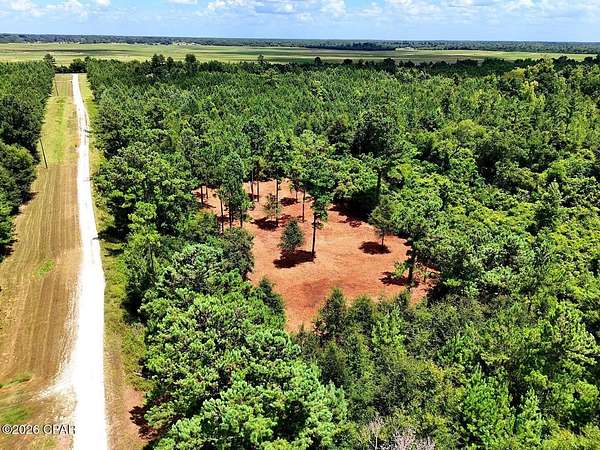 10.6 Acres of Land for Sale in Marianna, Florida