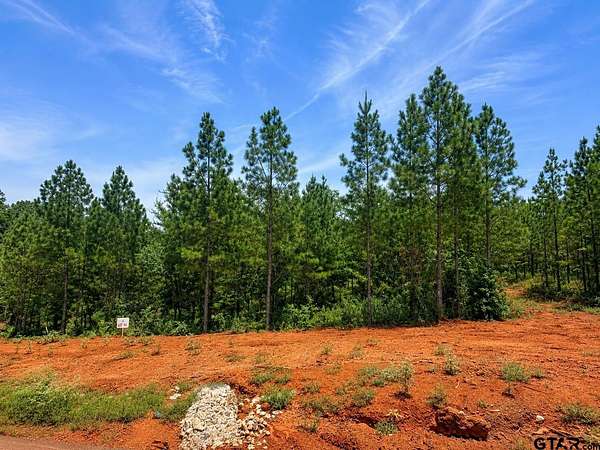 1.54 Acres of Residential Land for Sale in Tyler, Texas