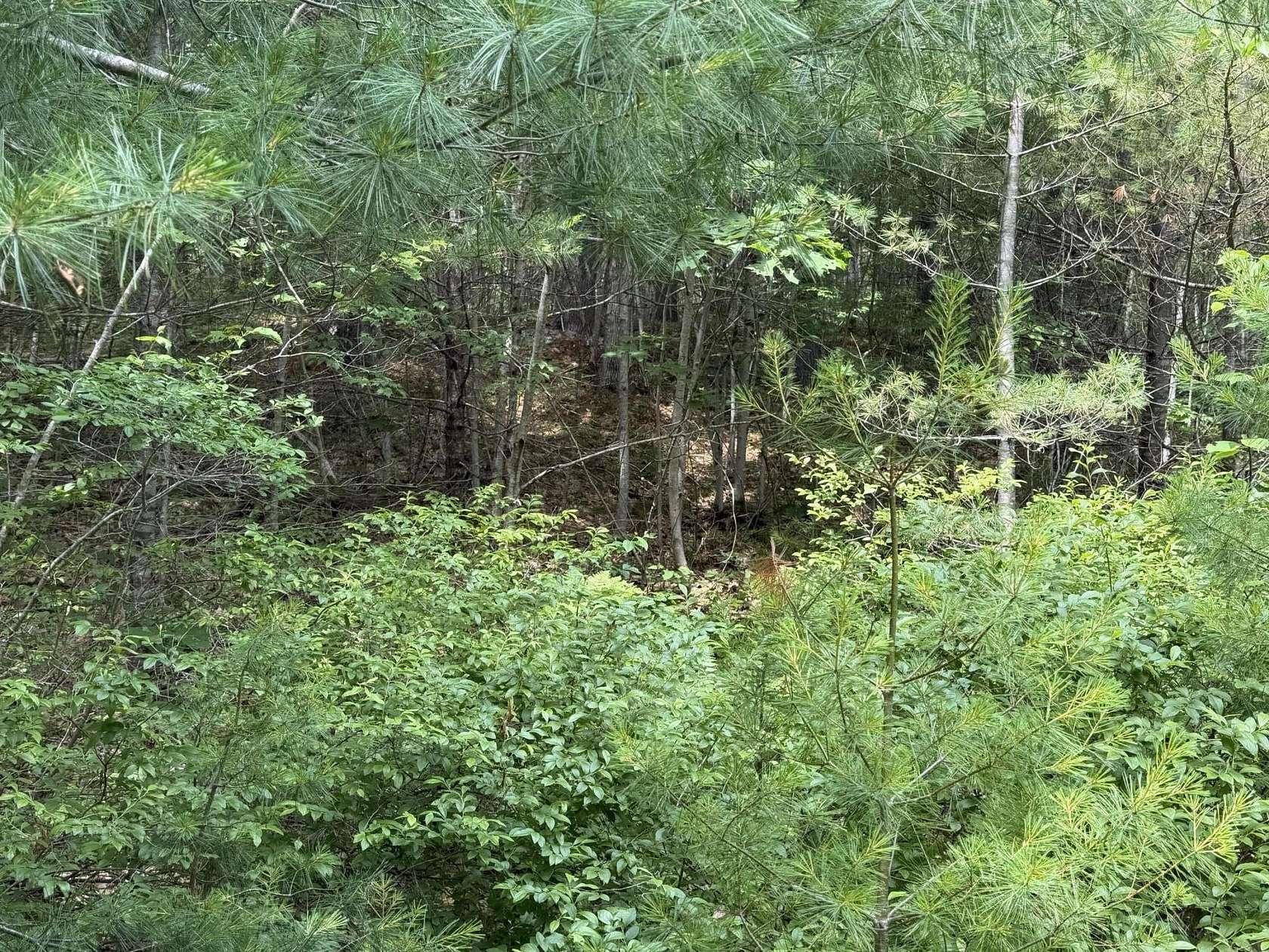 1 Acre of Residential Land for Sale in Bremen, Maine