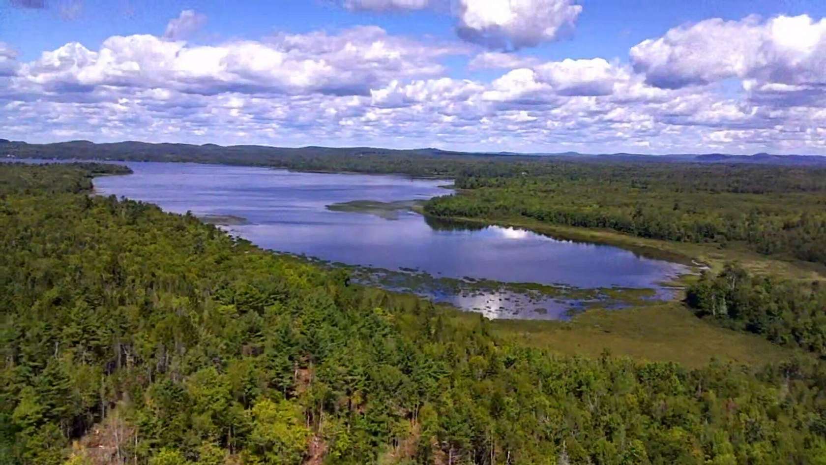 139 Acres of Recreational & Residential Land for Sale in Perry, Maine