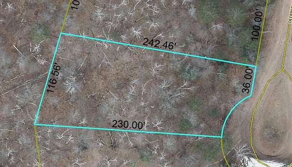 0.49 Acres of Residential Land for Sale in Danbury, Wisconsin