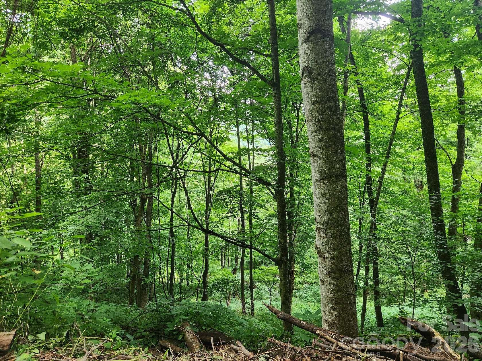 1.75 Acres of Land for Sale in Weaverville, North Carolina