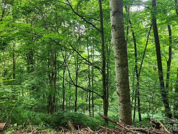 1.75 Acres of Land for Sale in Weaverville, North Carolina