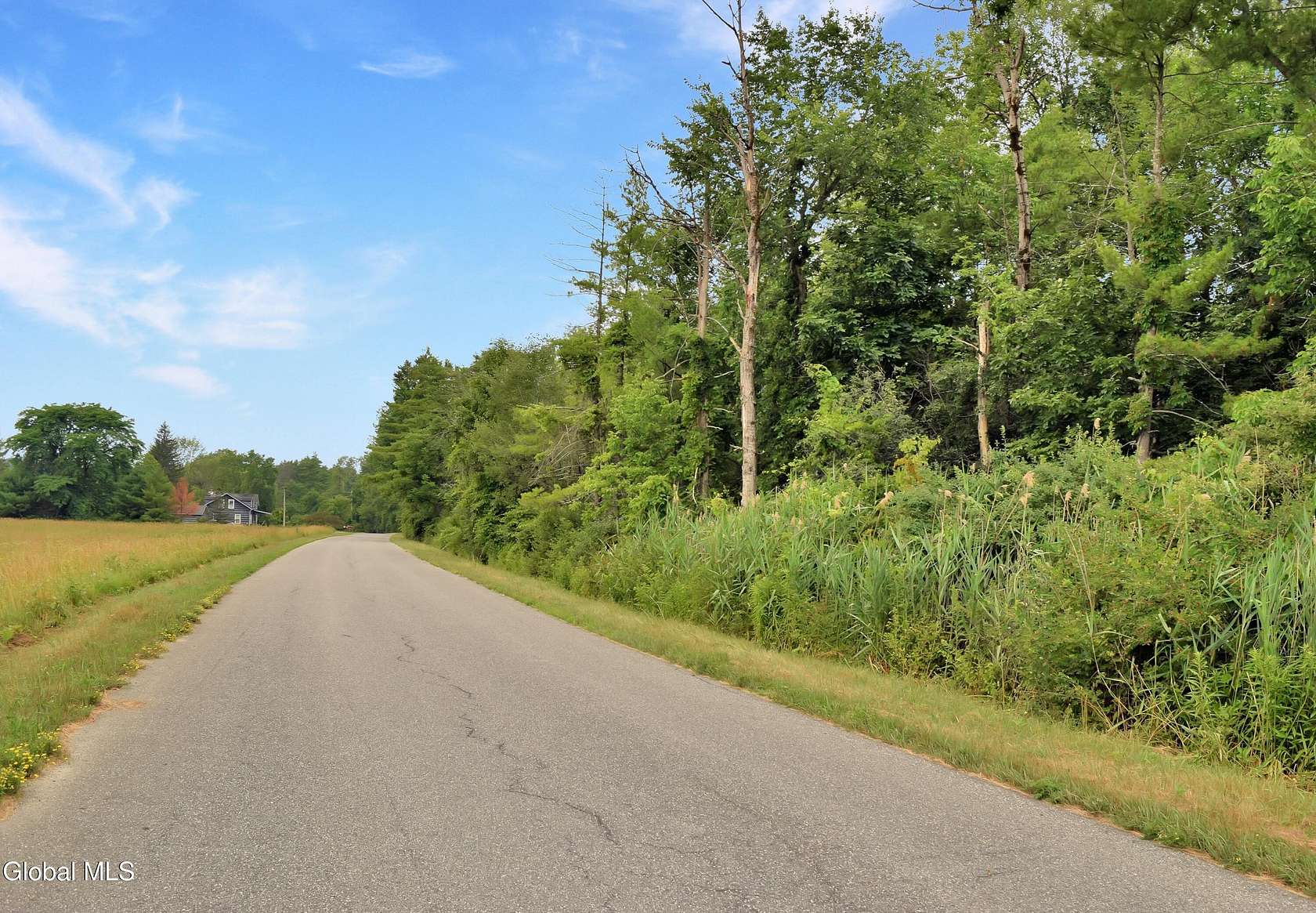 81 Acres of Land for Sale in Greenwich, New York