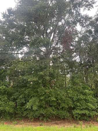 4.88 Acres of Residential Land for Sale in Headland, Alabama