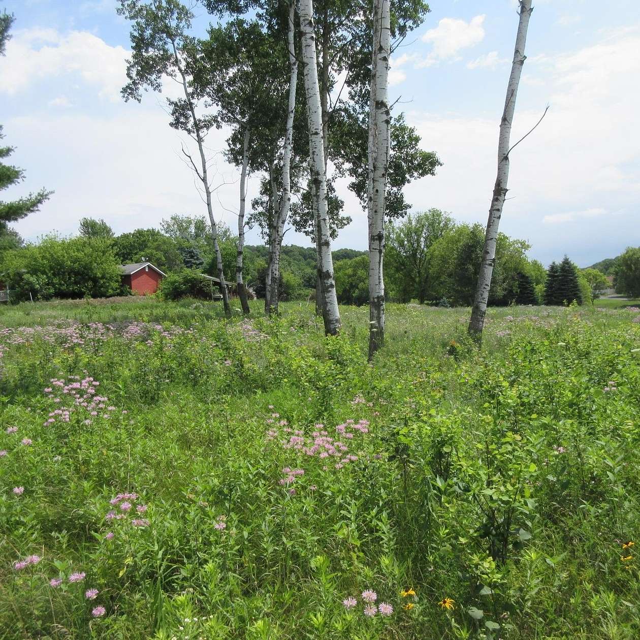 0.47 Acres of Residential Land for Sale in Menomonie, Wisconsin