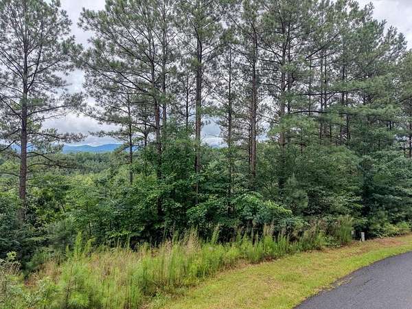 2.52 Acres of Residential Land for Sale in Blairsville, Georgia