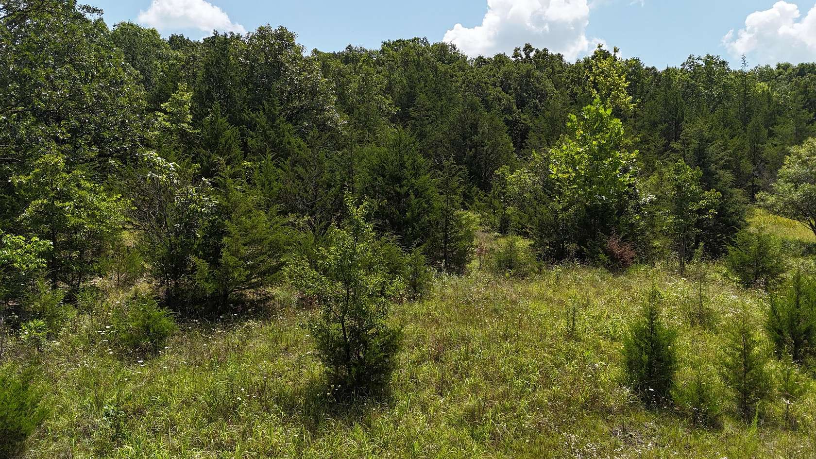 5.12 Acres of Land for Sale in Marshfield, Missouri