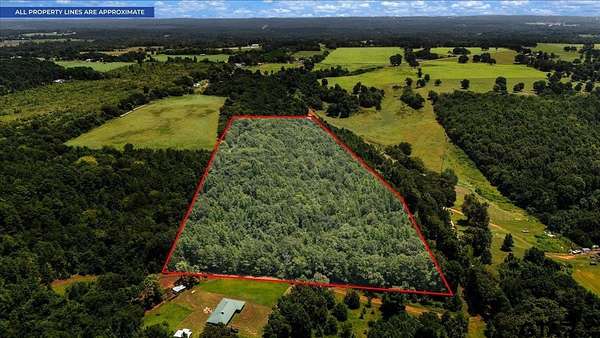 16.7 Acres of Land for Sale in Jacksonville, Texas