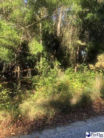 0.69 Acres of Residential Land for Sale in Florence, South Carolina