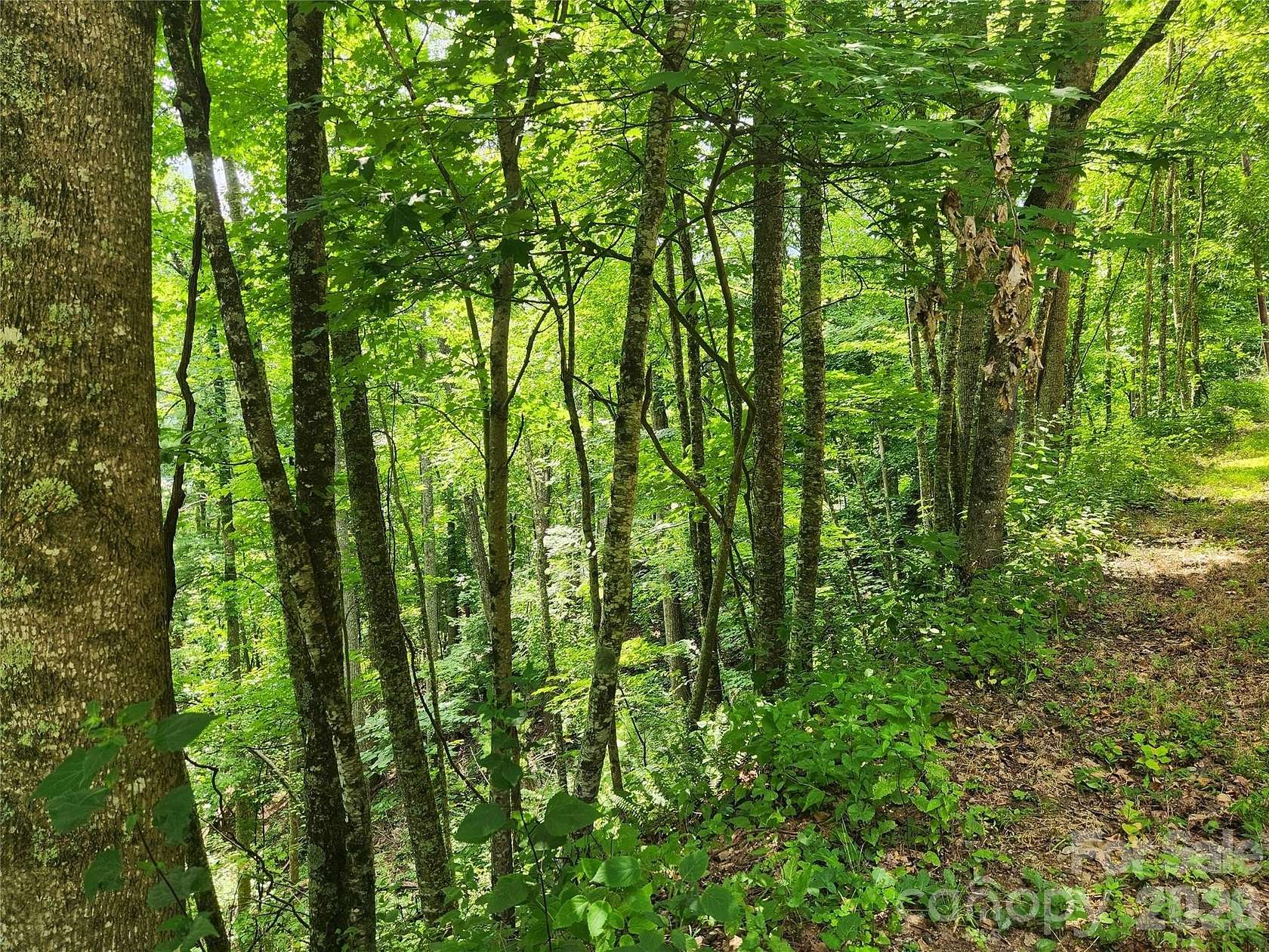 1.5 Acres of Land for Sale in Weaverville, North Carolina