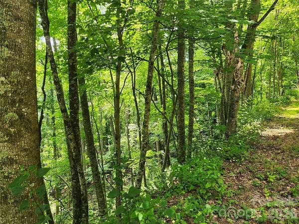 1.5 Acres of Land for Sale in Weaverville, North Carolina
