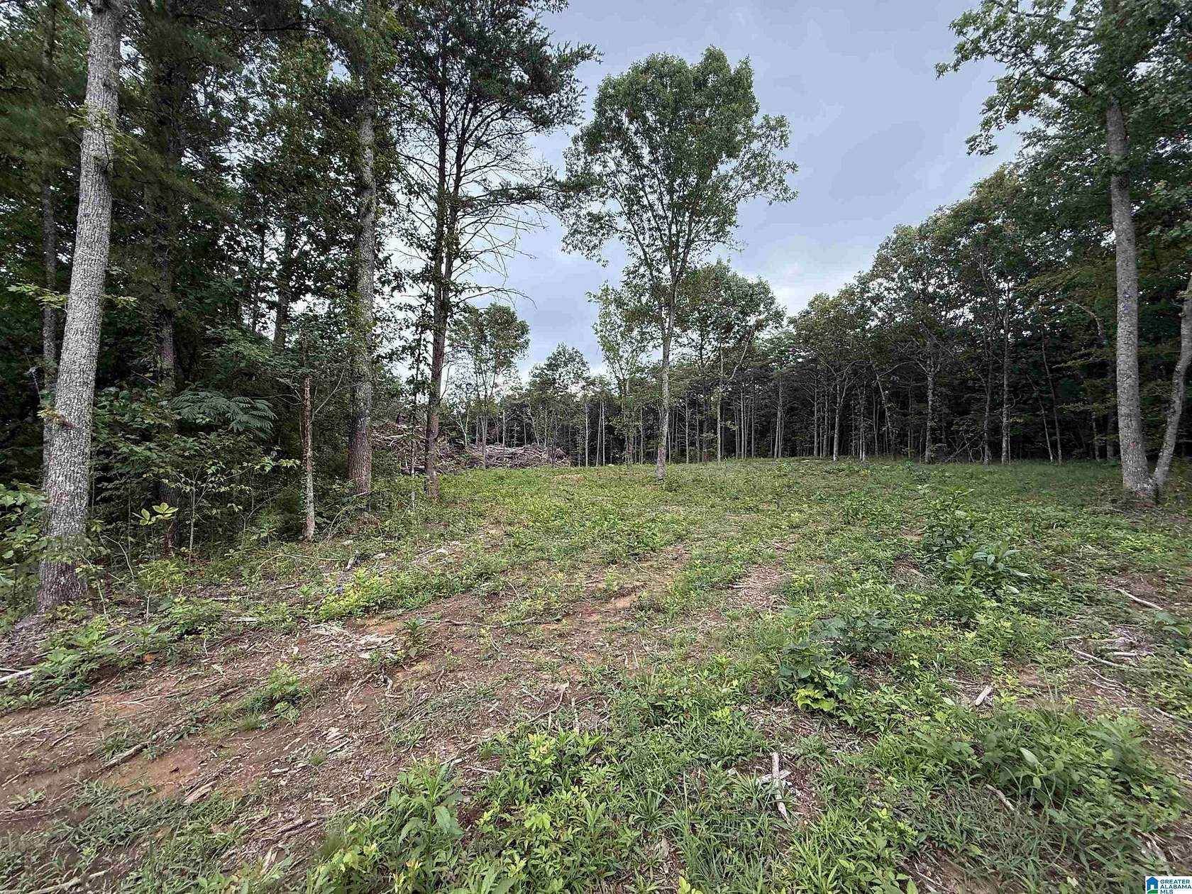 7.46 Acres of Residential Land for Sale in Oneonta, Alabama
