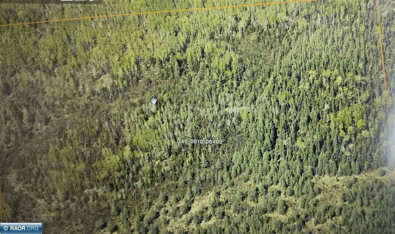 40 Acres of Recreational & Residential Land for Sale in Eveleth, Minnesota