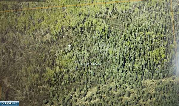 40 Acres of Recreational & Residential Land for Sale in Eveleth, Minnesota
